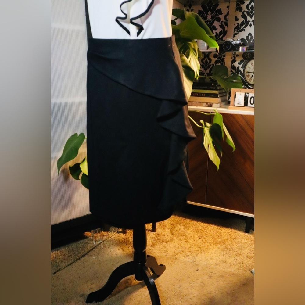 Lane Bryant ICON Collection Skirt Vintage - Picture 2 of 7